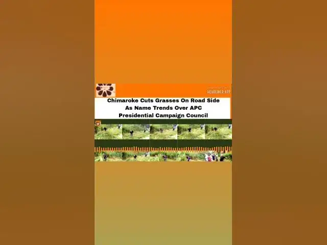 Video thumbnail for Chimaroke Cuts Grasses On Road Side As Name Trends Over APC Presidential Campaign Council