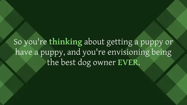 Video thumbnail for 9 Tips for Socializing Your Puppy