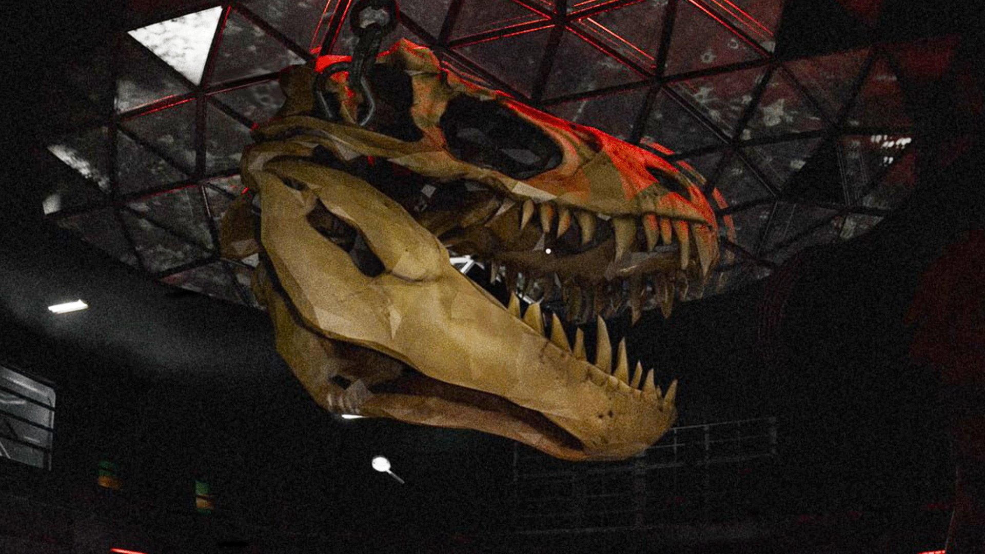 Video thumbnail for D-Extinction - Official Gameplay Trailer