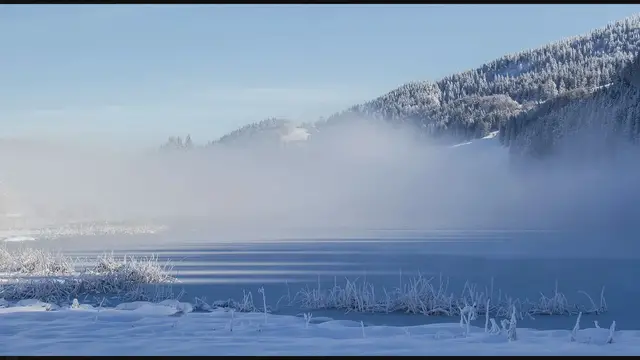 'Video thumbnail for The Cold Plunge: Unlocking a World of Health Benefits'