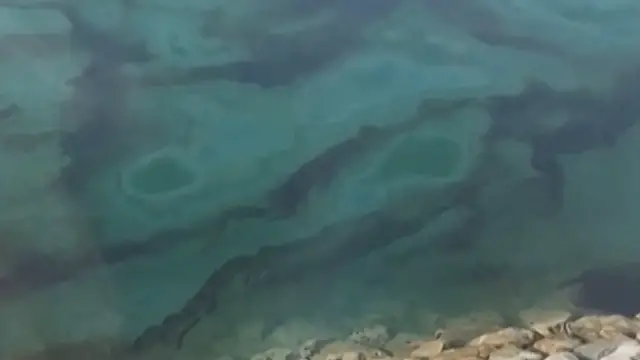 Video thumbnail for Hormuz oil spill forces closure of UAE beaches