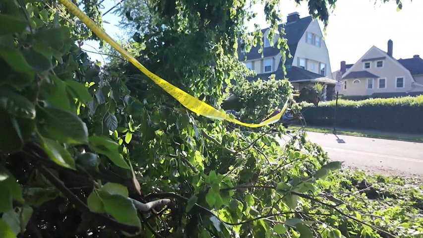 Video thumbnail for Storm leaves trail of damage across Westchester; fallen tree crushes family’s new car