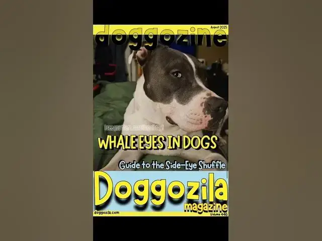 Video thumbnail for What are Whale Eyes in Dogs?