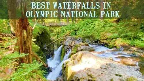 'Video thumbnail for 10 Best Waterfalls in Olympic National Park | Forest'