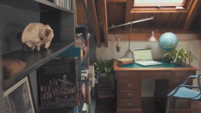 'Video thumbnail for 10 Houseplants to Greenify Your Bookshelf'