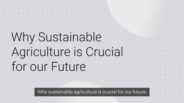 Video thumbnail for Why Sustainable Agriculture is Crucial for Future