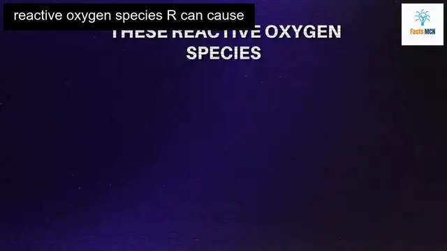 Video thumbnail for Discover How Aging Really Works and Transform Your Life Forever!