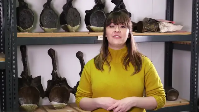 Video thumbnail for 26 Facts About Fossils | Mental Floss