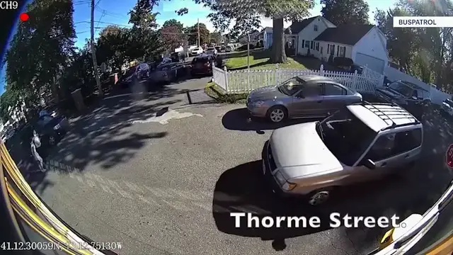Video thumbnail for More school bus cameras are catching drivers who fail to stop, police warn