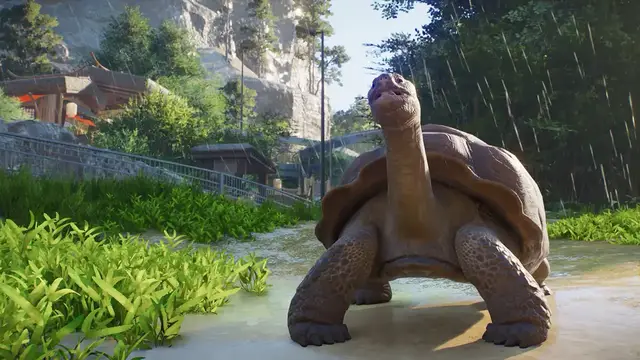 Video thumbnail for Planet Zoo 2 - Official Feature Focus: Zoo Creativity Trailer