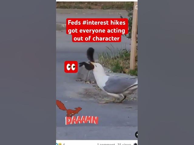 Video thumbnail for These #interest hikes got everyone acting out of character #newsupdate #mainstreament