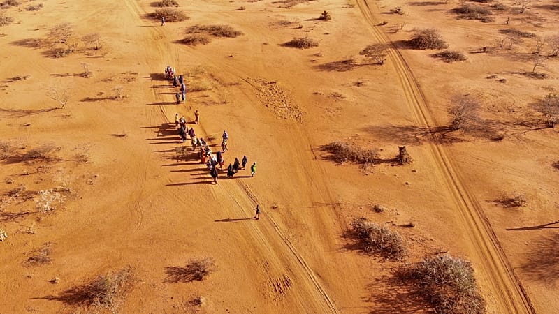 Video thumbnail for Somalia's drought leaves 6.5 million on brink of hunger crisis, says ICRC