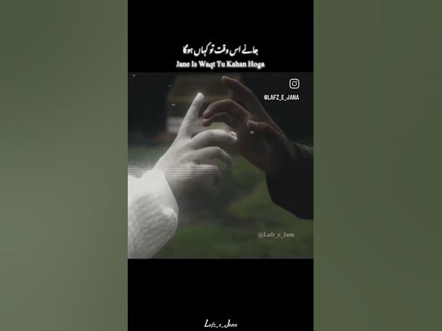 Video thumbnail for December 16, 2024