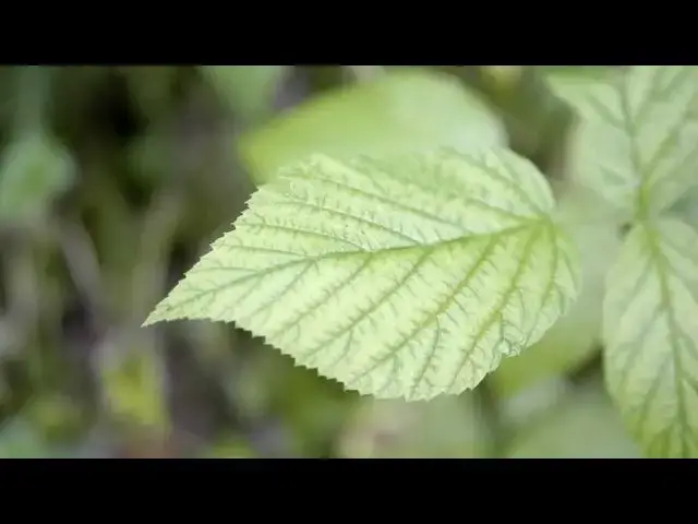 Video thumbnail for House exterior and sky