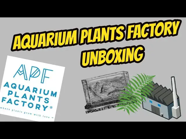 Video thumbnail for Aquarium Plants Factory Unboxing - Anubias and Bucephalandra