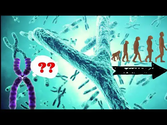 Video thumbnail for Why the Y Chromosome is Evolving Faster Than the X A Fascinating Discovery in Primates!