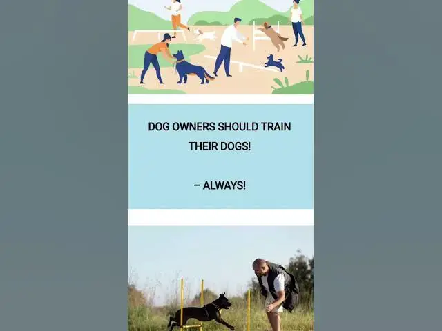Video thumbnail for Dog's Most Wanted - Most Popular Dog Breeds | Doggozine
