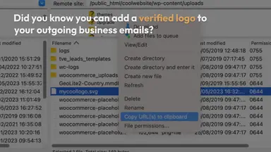 'Video thumbnail for How to Add a Verified Logo to Your Business Email (Step by Step)'