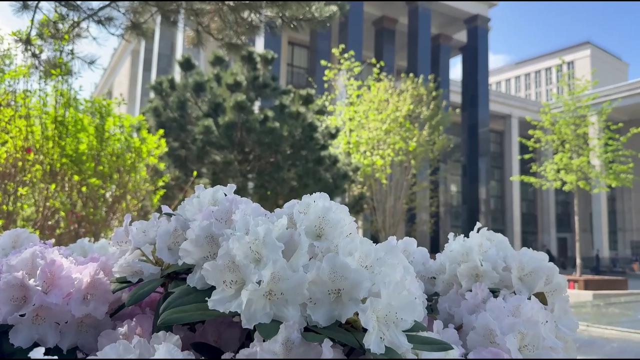 Video thumbnail for Russia: Book-and-flower installation at Russian State Library.