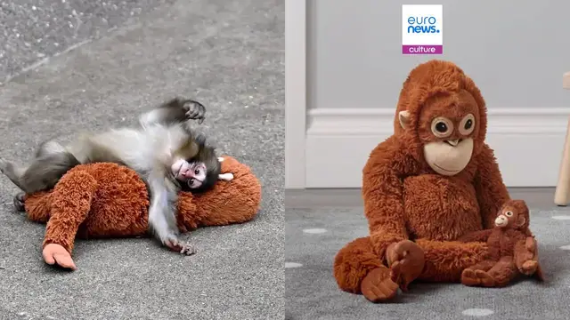 Video thumbnail for IKEA’s Dorothée Gardon on AI, the viral Punch moment and brand control in the social media age