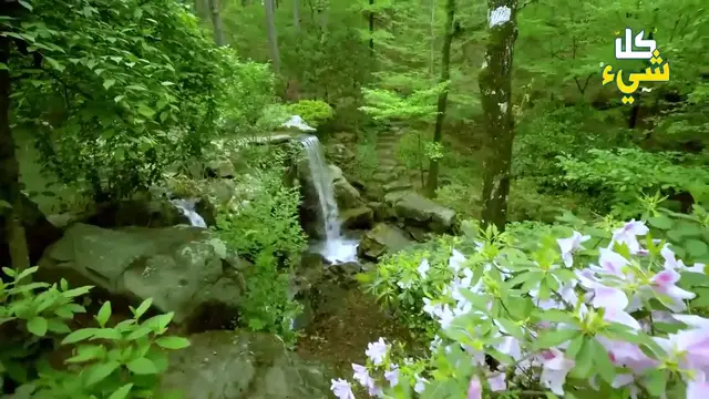 Video thumbnail for حياتنا في الجنة ستشبه حياتنا على الأرض؟ وكيف ستكون شكل الأيام في الجنة بإذن الله؟ سيرتجف قلبك_0p