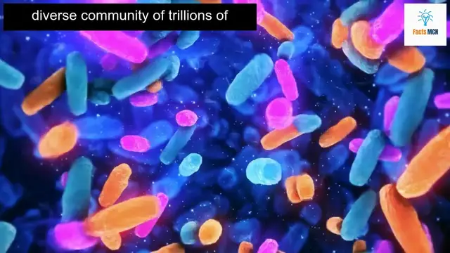 Video thumbnail for Discover Amazing Tips for a Healthier Gut with These Forgotten Foods!