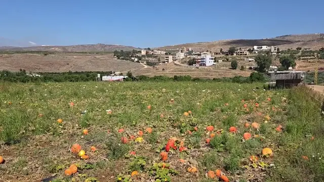 Video thumbnail for Lebanon: Displaced residents return to southern Lebanon village after months of Israeli occupation.