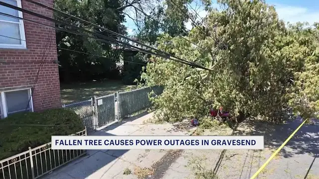 Video thumbnail for Gravesend residents spend sweltering Fourth of July waiting for power restoration following storm damage