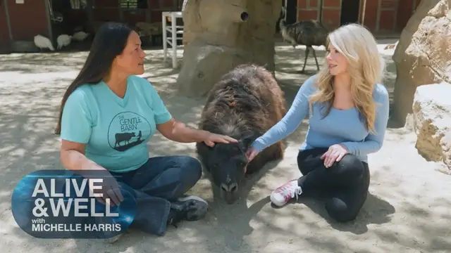 'Video thumbnail for Moby Embraces Healing with Cow Hug Therapy at Gentle Barn'