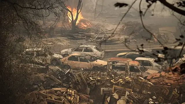 Video thumbnail for Algeria adopts law imposing death penalty on forest arsonists