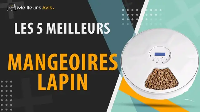 Video thumbnail for ⭐️ MEILLEUR MANGEOIRE LAPIN - Avis & Guide d'achat (Comparatif 2023)