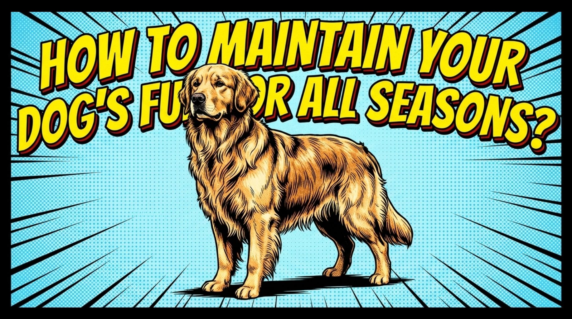 Video thumbnail for How To Maintain Your Dog’s Fur for All Seasons?