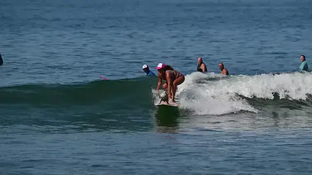 'Video thumbnail for Rescued Dog Now Lives Best Life Surfing With Owner'