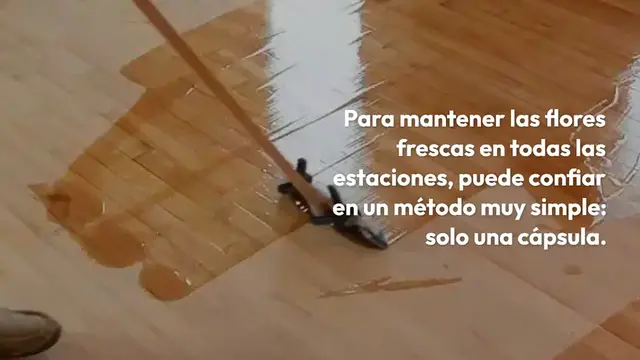 'Video thumbnail for Con esta cápsula todas tus flores se mantendrán frescas durante todo un año.'