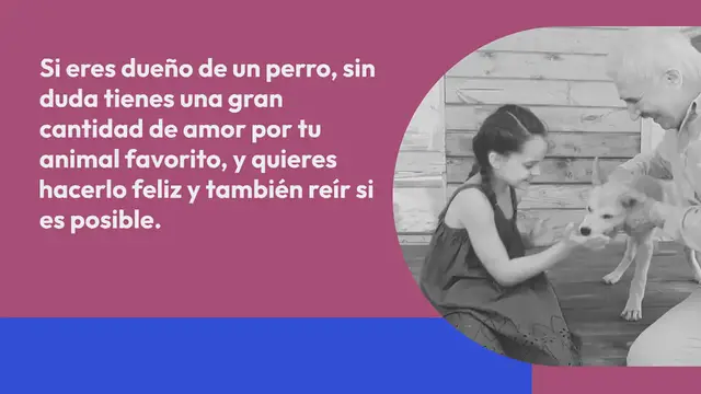 Video thumbnail for ¿Los perros sonríen y ríen?