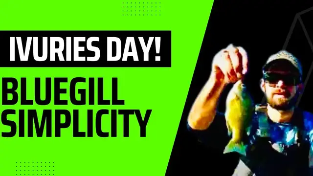 'Video thumbnail for Bluegill On Light Tackle - Easy Catfish Bait Run With The Family!'