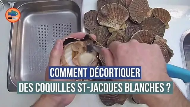 Video thumbnail for Décorticage de coquilles st-jacques blanches (rapide)