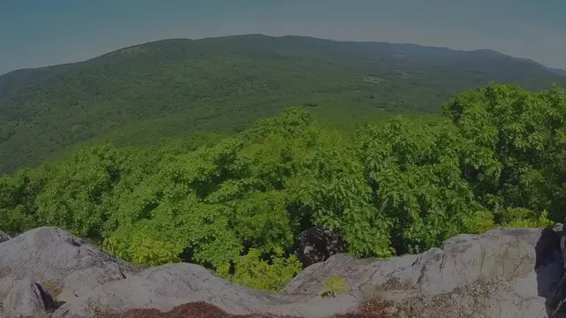 'Video thumbnail for Unsolved_Tragedy_in_Shenandoah'