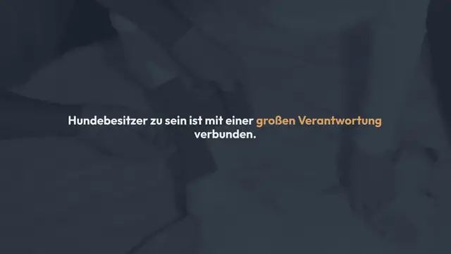 Video thumbnail for Hunde OP Kosten – Wie viel kostet eine OP beim Hund?