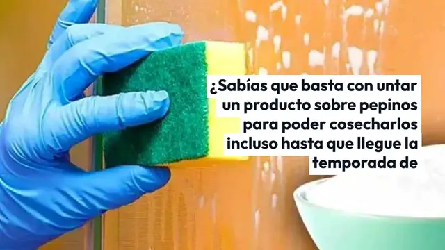 Video thumbnail for Extiéndelo en pepinos y los cosecharás del jardín hasta que llegue el otoño.