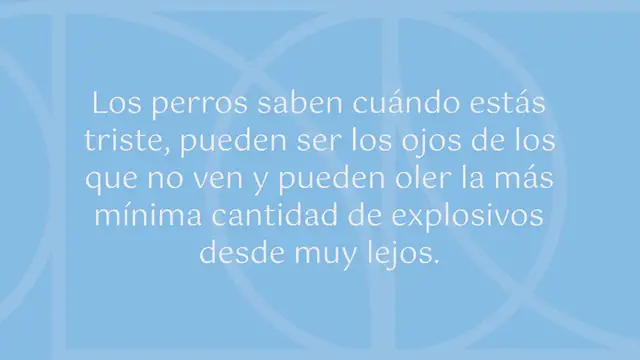 Video thumbnail for ¿Cómo de inteligentes son los perros?
