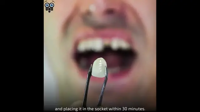 Video thumbnail for 10 Compelling Facts That Sound Fake But Are Actually True