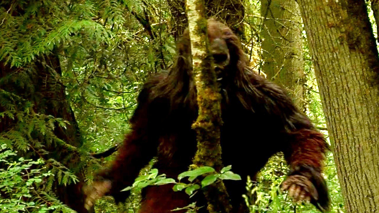 Video thumbnail for A Closer Look: Scientists Near an Answer in the Bigfoot Mystery