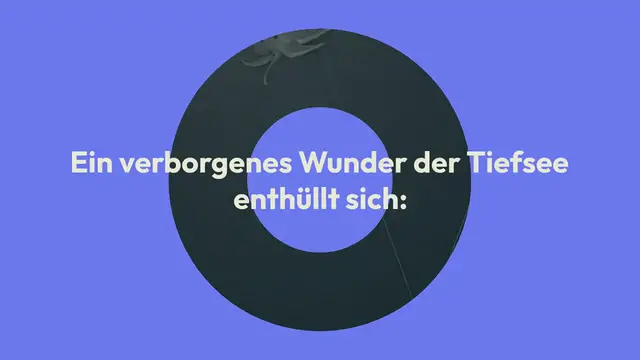 Video thumbnail for Wie aus einer anderen Welt: Als Meeresforscher dieses Wesen entdecken, trauen sie ihren Augen kaum