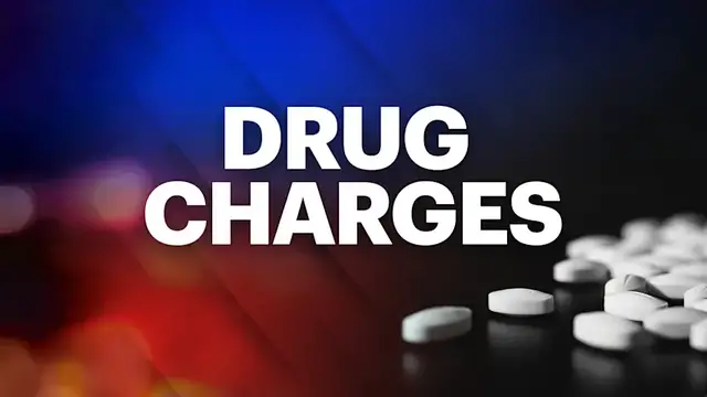 Video thumbnail for 4 arrested after Albany traffic stop leads to cocaine discovery