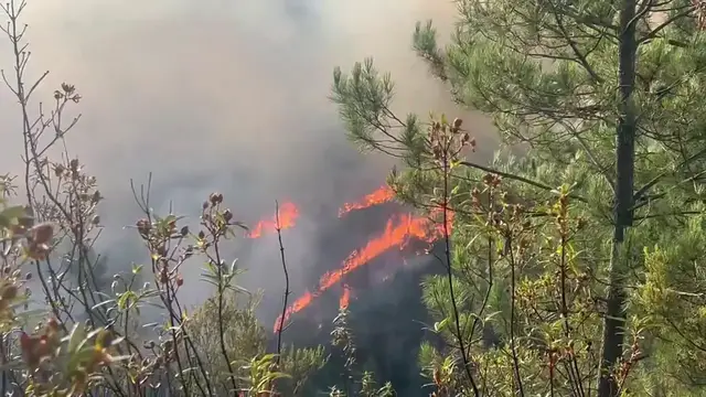Video thumbnail for Spain: Wildfire Breaks Out in Almonaster la Real, Huelva, Prompting Evacuation.