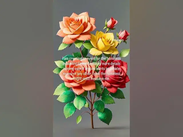 Video thumbnail for Any help or donations will be appreciated.