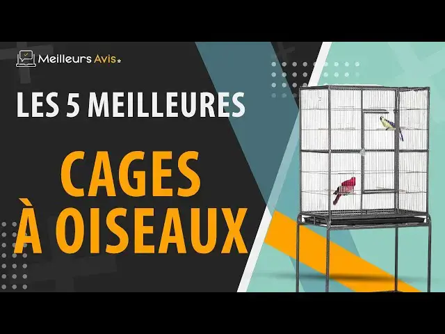 Video thumbnail for ⭐️ MEILLEURE CAGE À OISEAUX - Comparatif 2024