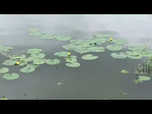 'Video thumbnail for McKay Lake visit'