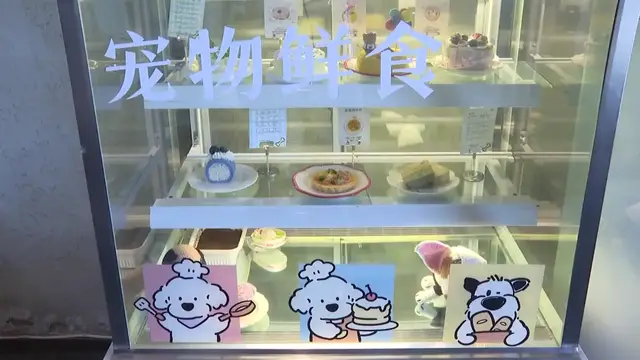 Video thumbnail for China: Pet-friendly stores in Beijing see rising customer flow.